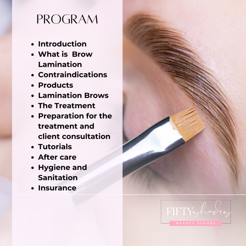 Brow Lamination Only